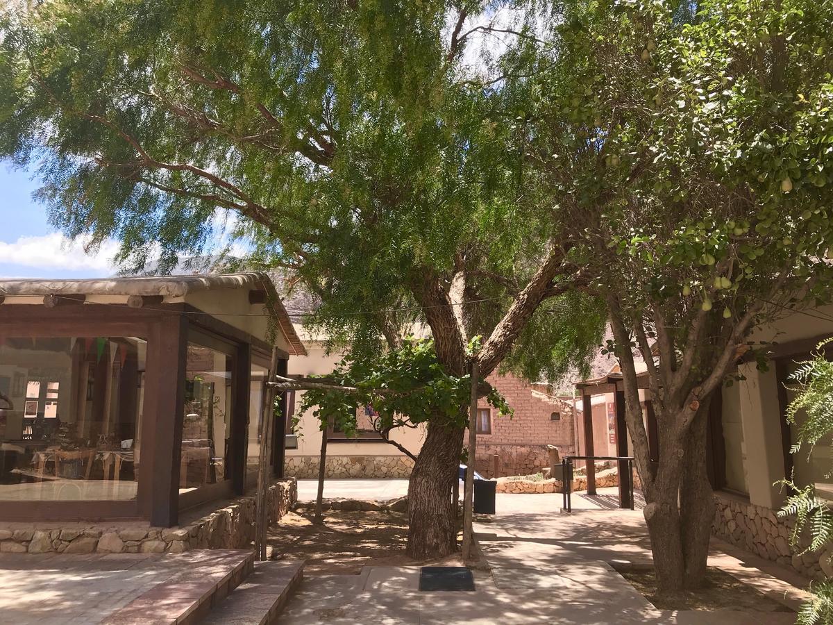 Las Vicunas Departamentos Purmamarca Exteriér fotografie
